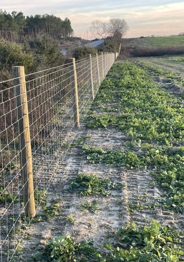 شبوك لأراضي المزارع